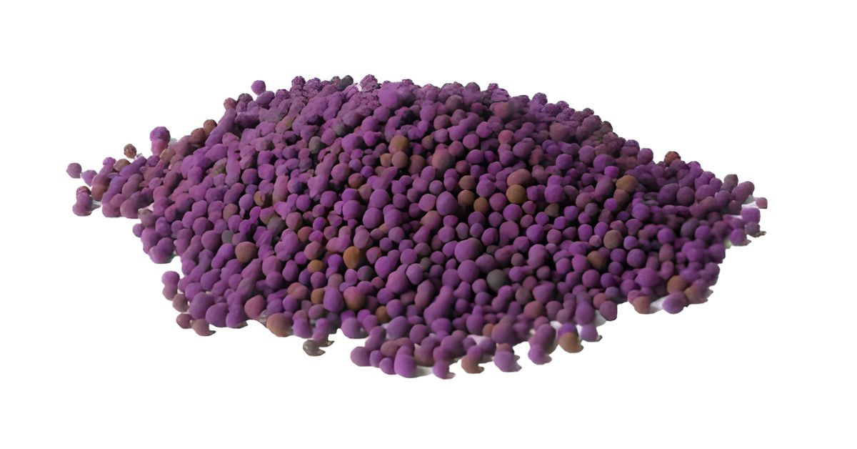 Best Practices for Odor Management in Food Processing Plants