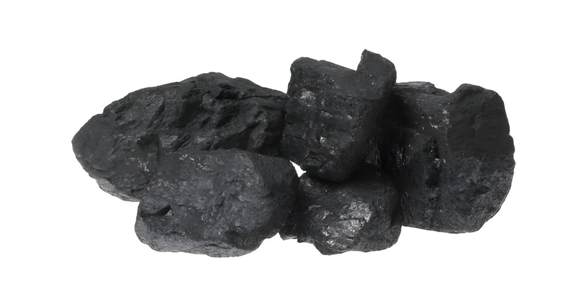 Best Practices for Odor Management in Food Processing Plants